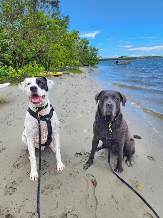 Mill & Manners (through play)