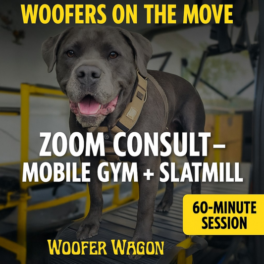 Mobile Dog Gym & Slatmill Zoom Consultation (60-Minute Session)